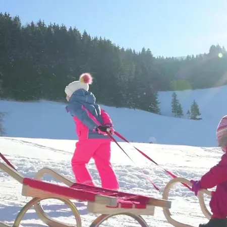 호텔 Gressenbauer 3*