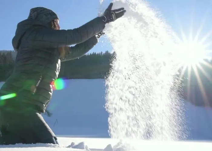 Gressenbauer Hotel Hinterstoder