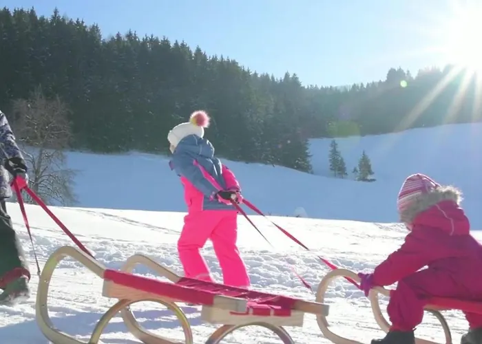 فندق Gressenbauer 3*